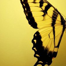 Схема вышивки «БАБОЧКА»