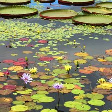 Схема вышивки «ОЗЕРО»