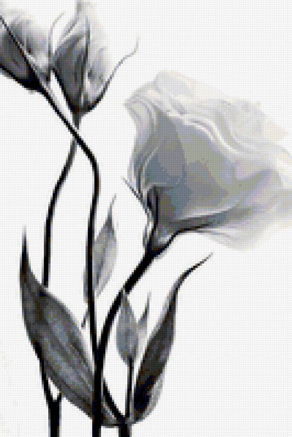 №345546 - предпросмотр