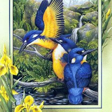 Схема вышивки «№345607»