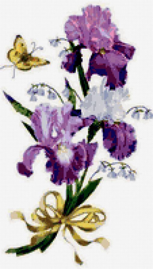 букет ирисов - ирисы, букет - предпросмотр