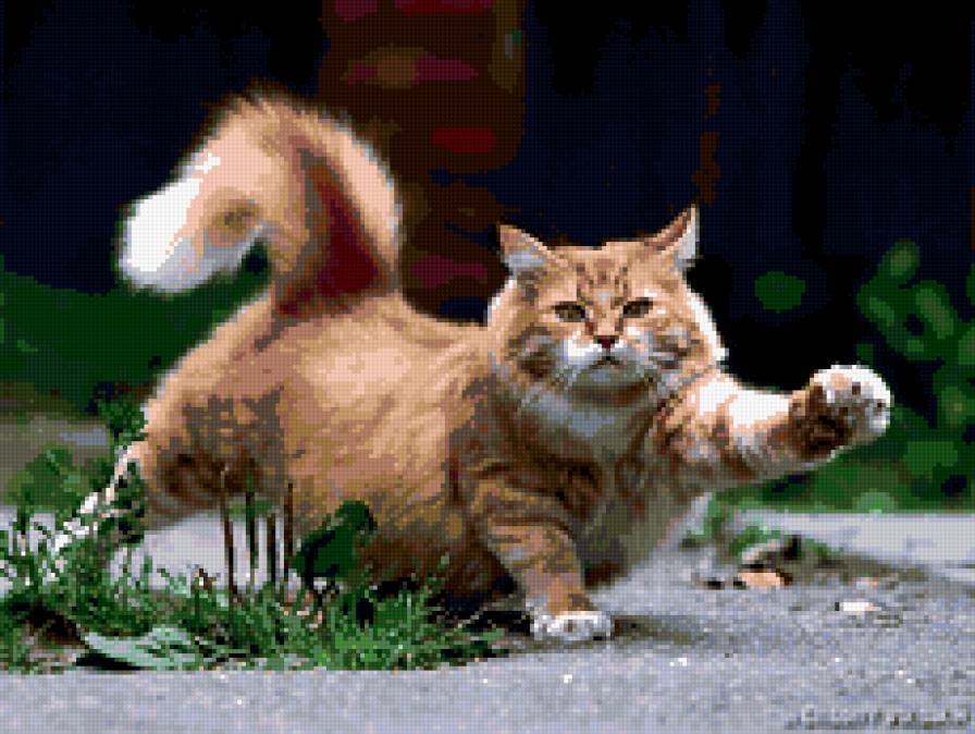 потягушки - рыжий, кот - предпросмотр