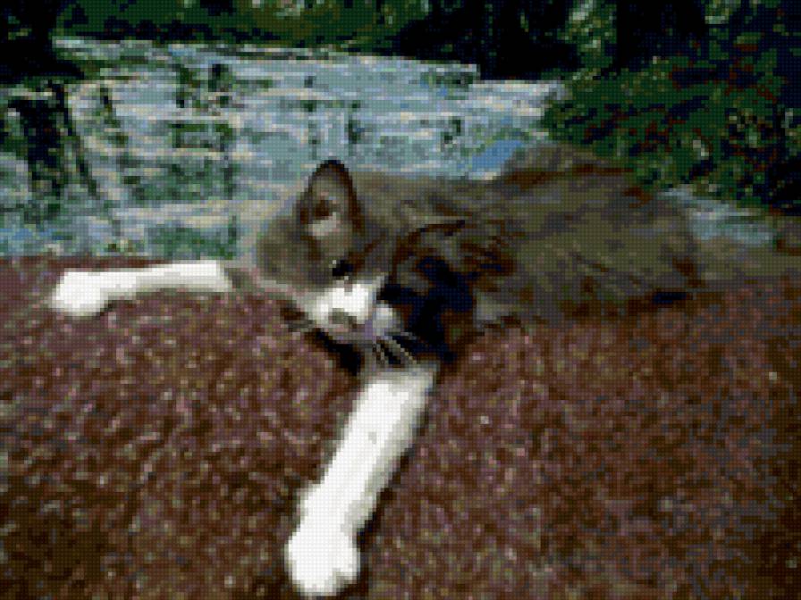 Кошка - предпросмотр