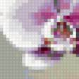 Предпросмотр схемы вышивки «№345880»