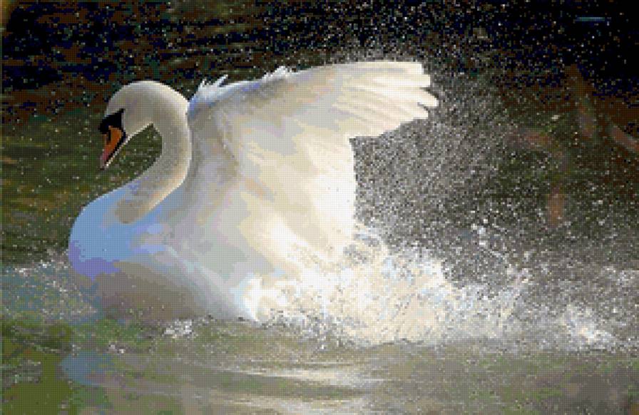 №345894 - предпросмотр