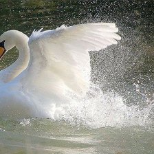 Схема вышивки «№345894»