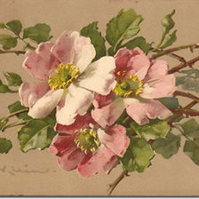 Схема вышивки «№346009»