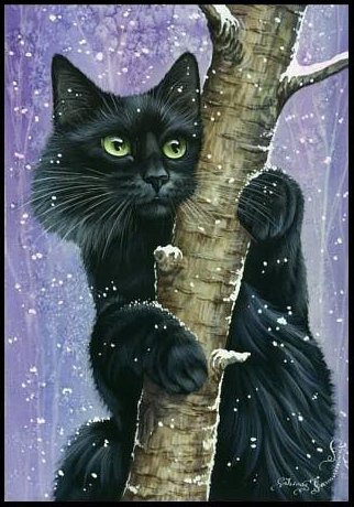 Черный кот на дереве - животные, кот - оригинал