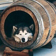 Схема вышивки «№346099»