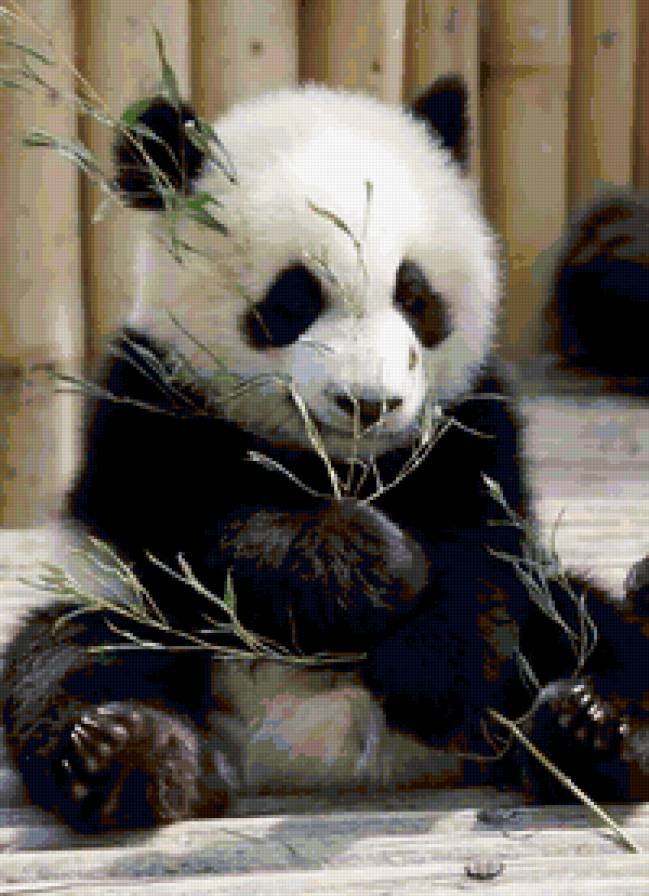 №346103 - предпросмотр