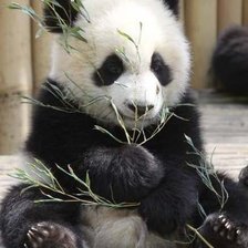 Схема вышивки «№346103»