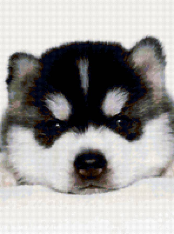 №346106 - предпросмотр