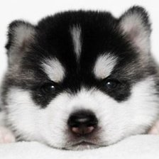 Схема вышивки «№346106»