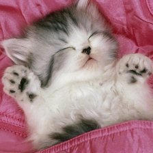 Схема вышивки «№346114»