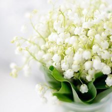 Схема вышивки «№346117»