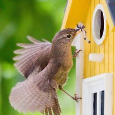 Схема вышивки «№346119»