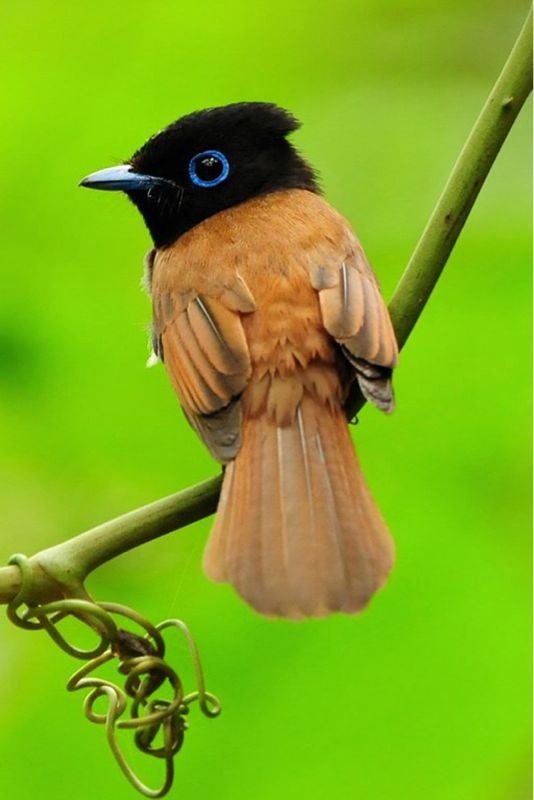 №346124 - оригинал