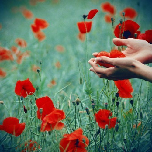 №346131 - оригинал