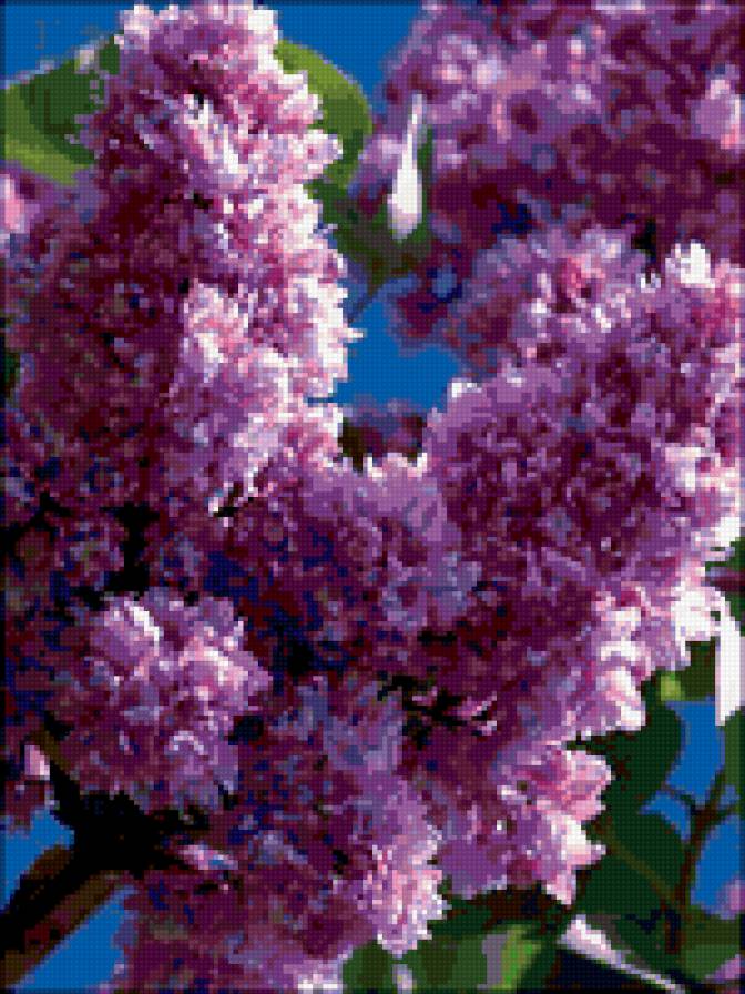 №346135 - предпросмотр