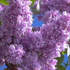 Схема вышивки «№346135»