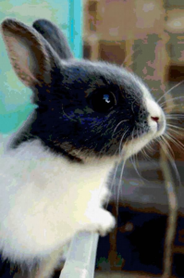 №346140 - предпросмотр