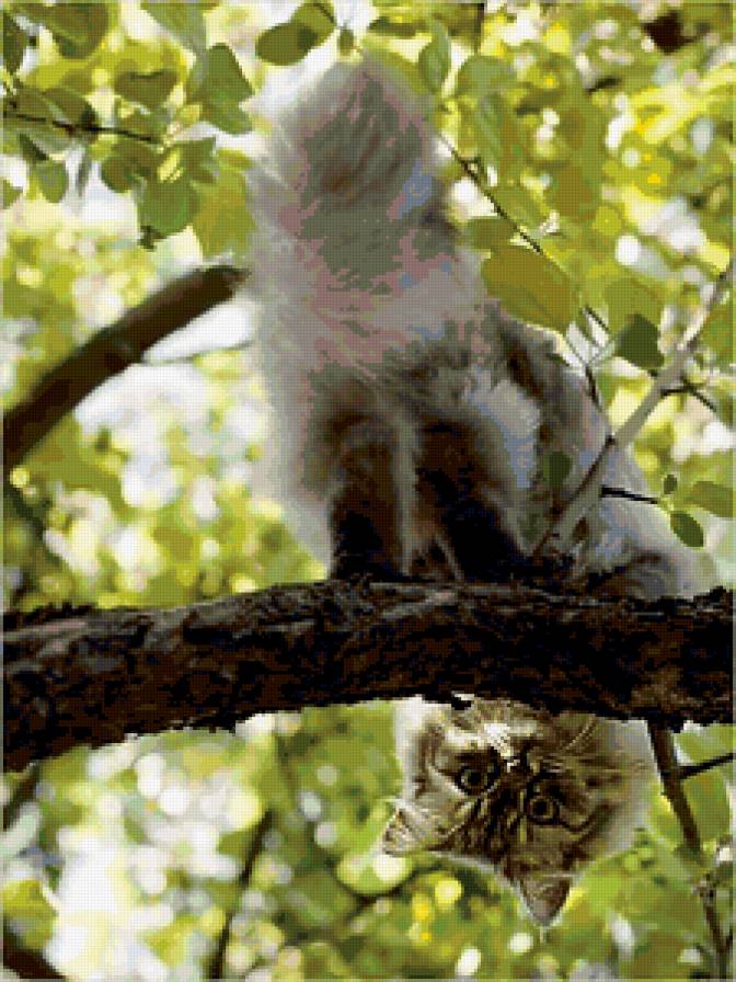 №346147 - предпросмотр