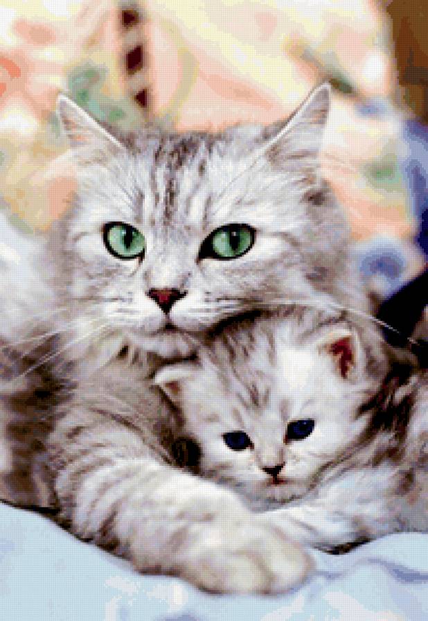 марта - предпросмотр