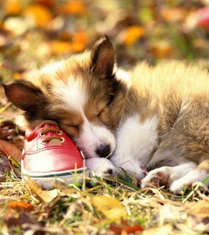 №346170 - оригинал