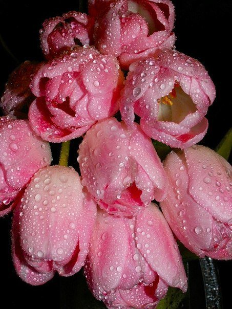 №346181 - оригинал