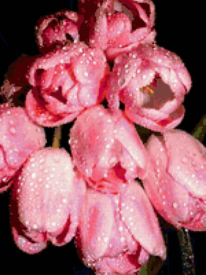 №346181 - предпросмотр