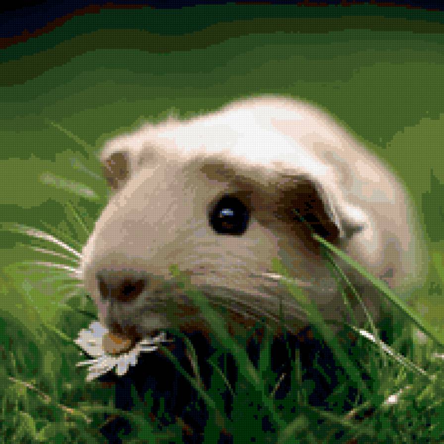 №346183 - предпросмотр