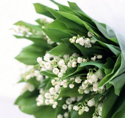 №346208 - оригинал