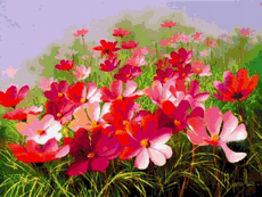 Цветы - красота пейзаж, цветы, природа - предпросмотр