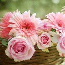 Схема вышивки «№346214»