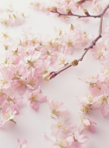 №346248 - оригинал