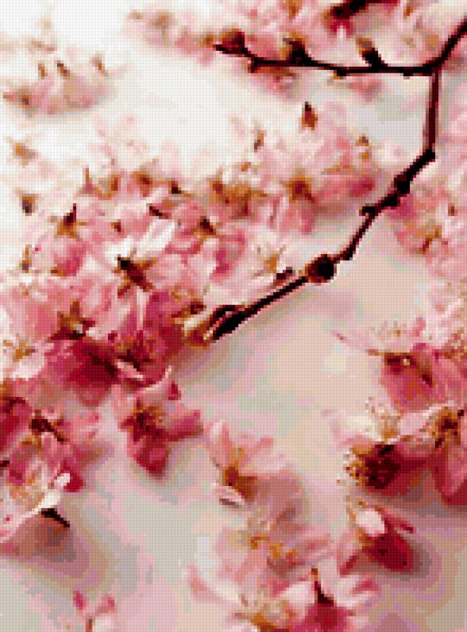 №346248 - предпросмотр