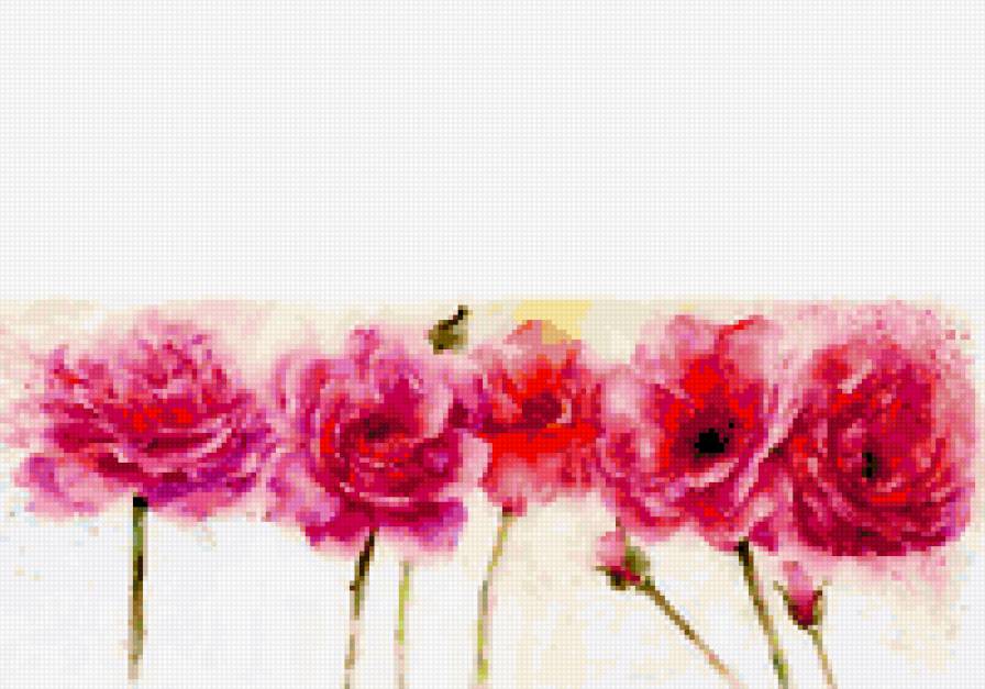 акварель - розы - предпросмотр