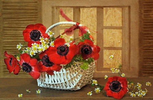 цветы - цветы - оригинал