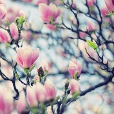 Схема вышивки «№346299»