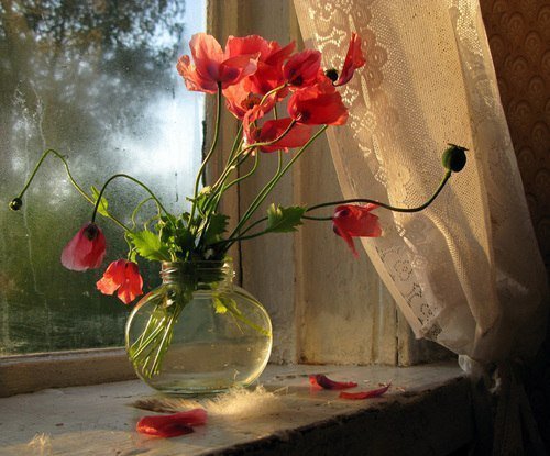 №346307 - оригинал