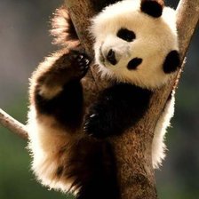 Схема вышивки «№346312»