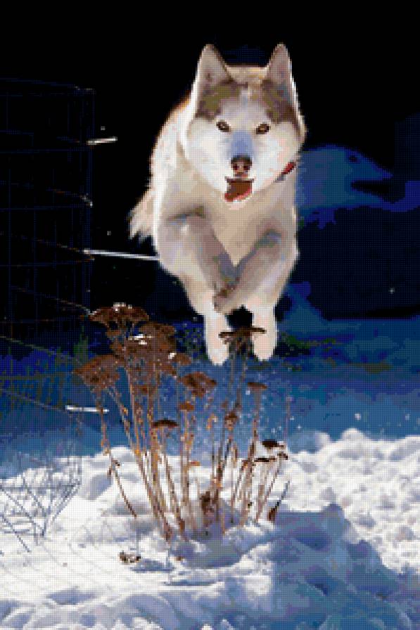 №346336 - предпросмотр