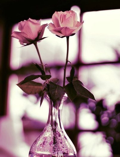 №346347 - оригинал