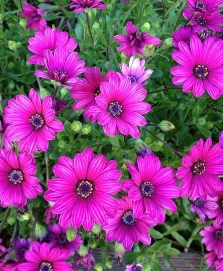 №346348 - оригинал