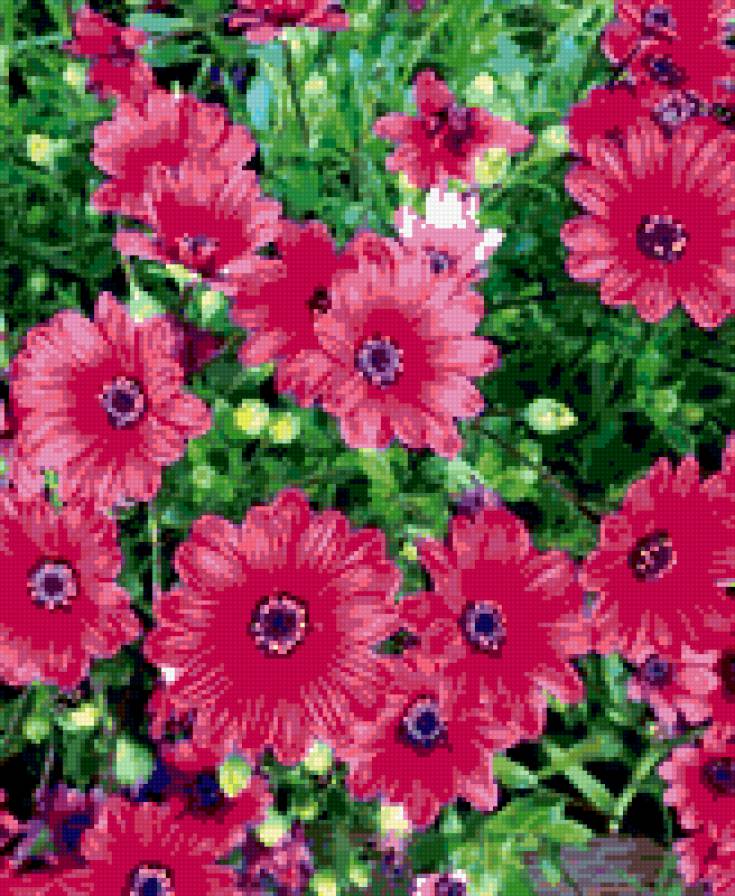 №346348 - предпросмотр