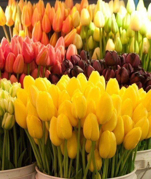 №346352 - оригинал