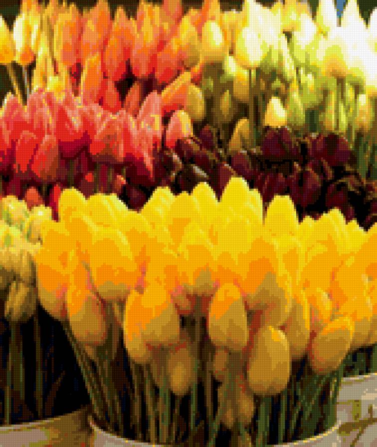 №346352 - предпросмотр