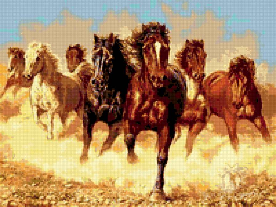 табун - животные - предпросмотр