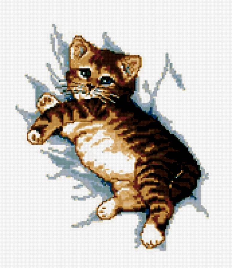 №346569 - животные - предпросмотр