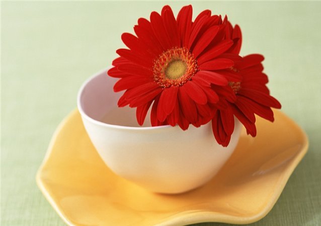 %%% - оригинал